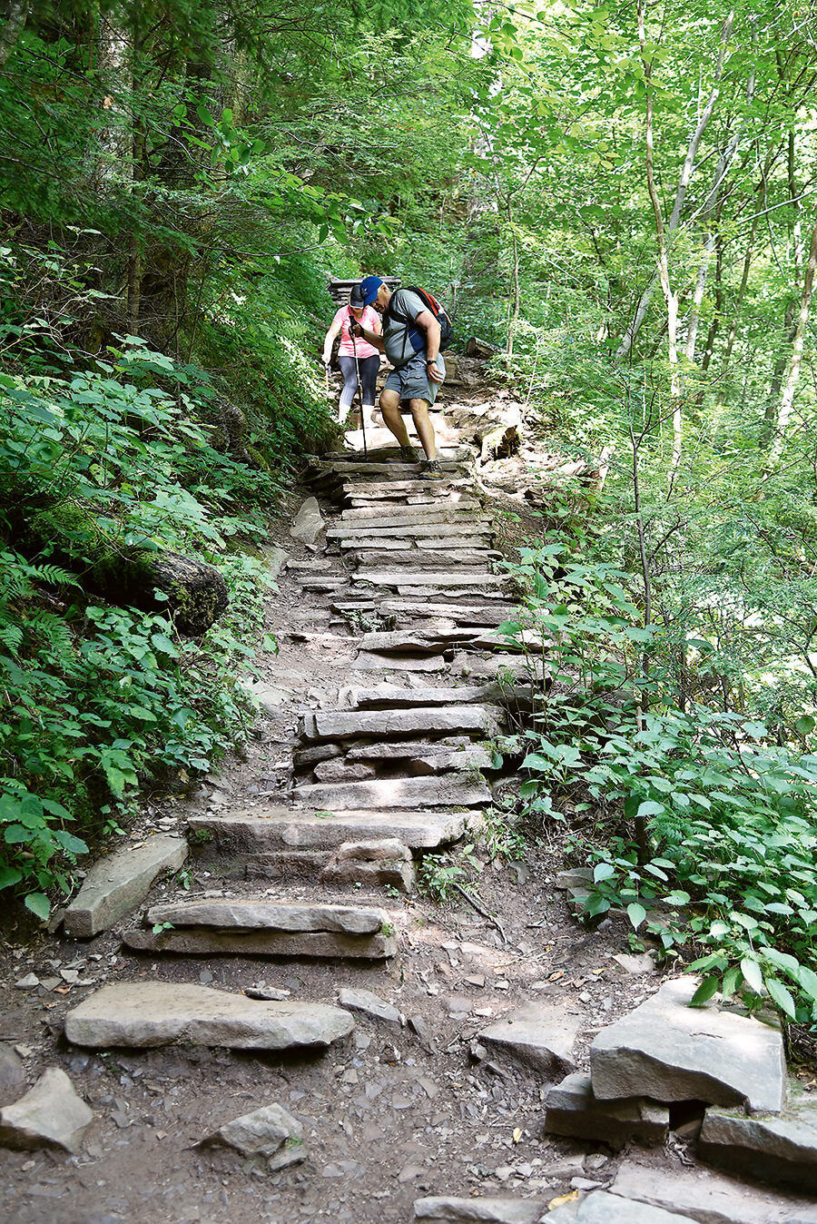 Trail at Ricketts Glen State Park, PA